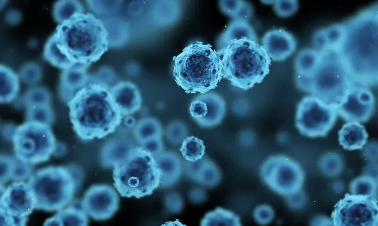 لسبب غير متوقع.. رجل يفقد 22 كيلو من وزنه في وقت قياسي منوعات شاهد المقال التالي من صحافة مصر عن لسبب غير متوقع رجل يفقد 22 كيلو من وزنه في وقت