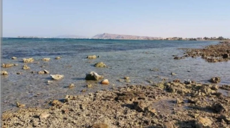 بعد تحذير المصطافين.. حقيقة تسونامي بورسعيد خاص تصدر تسونامي بورسعيد محركات البحث، بعد الصور المتداولة لانحسار شواطىء بورسعيد، وتساءل البعض حول إمكانية وصول موجات تسونامي العاتية إ