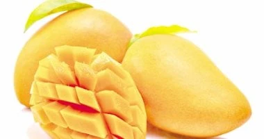 تعرفى على فوائد المانجو للأطفال صحة وطب شاهد المقال التالي من صحافة مصر عن تعرفى على فوائد المانجو للأطفال، المانجو أفضل الفواكه الصيفية التي يحبها