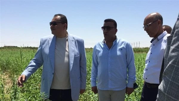 حرارة الجو .. توجيه مهم من الزراعة بشأن الثروة الحيوانيةتفقد الدكتور طارق صلاح رئيس قطاع استصلاح الاراضى، بوزارة الزراعة واستصلاح الأراضي، مشروعات