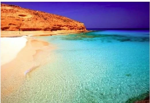 مصايف 2024.. أسعار الشقق في مطروح تبدأ من 300 جنيه منوعات الاسبوع شاهد المقال التالي من صحافة مصر عن مصايف 2024 أسعار الشقق في مطروح تبدأ من 300