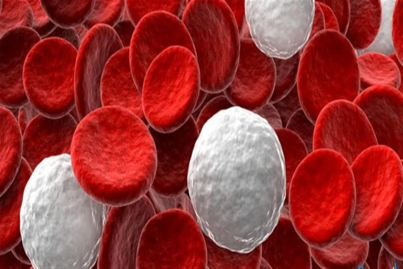 اكتشاف ذكي.. الذكاء الاصطناعي يقيس الكريات البيضاء بدقة عالية لايف ستايل شاهد المقال التالي من صحافة مصر عن اكتشاف ذكي الذكاء الاصطناعي يقيس الكريات