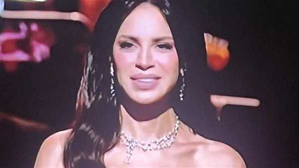 فخورة وسعيدة .. آمال ماهر تشارك عمر خيرت بأغنيتين في ليلة الاحلام بدأت الفنانة آمال ماهر حفلها ليلة الاحلام ، ضمن فاعليات موسم الرياض ، والمقام حاليا