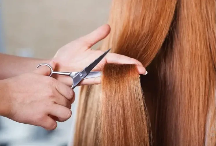 ما هو تفسير حلم قص الشعر لشخص آخر لابن سيرين؟ تفسير حلم قص الشعر لشخص آخر، لو رأيت أنك تقوم بقص شعر فرد آخر في رؤيتك وتعرض ذلك الإنسان إلى السعادة