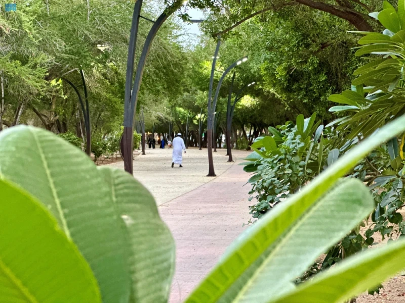 من الكبار والصغار.. إقبال على مضامير المشي خلال إجازة الصيف بنجران الحياة شاهد المقال التالي من صحافة السعودية عن من الكبار والصغار إقبال على مضامير