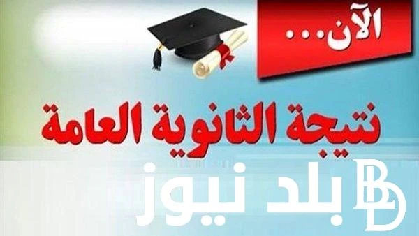 بدأ العد التنازلي نتيجة الثانوية العامة 2024 برقم الجلوس اليوم السابع في كافة المحافظات عبر موقع الوزارة الرسمي .. .() يترقب الكثير من الطلاب إعلان
