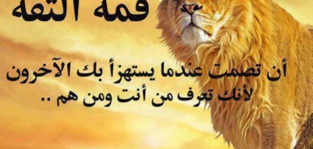 مسجات عن عدم الثقة 50 رسالة عن عدم الثقة بالنفسالثقة بالنفس تعتبر من الركائز الأساسية التي يبنى عليها النجاح والتوازن النفسي، ولكن هناك أوقات في حياة الإنسان يشعر فيها بفقدان الثقة