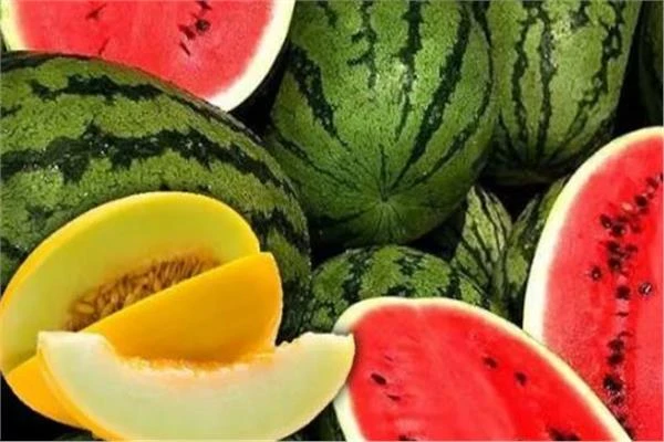 فوائد الفيتامينات في البطيخ الأحمر والأصفر.. نظرة من خبير تغذية متفرقات شاهد المقال التالي من صحافة مصر عن فوائد الفيتامينات في البطيخ الأحمر والأصفر