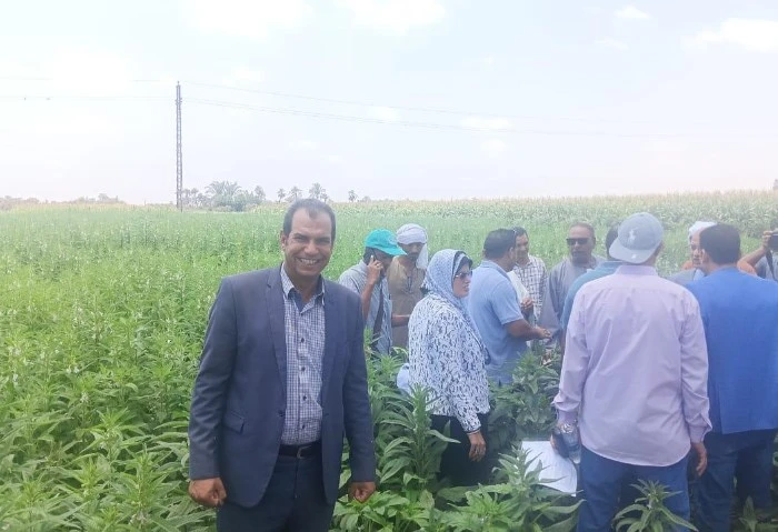 الزراعة: البحوث تتابع الحقول الإرشادية والمحاصيل الصيفية بالفيوم تنفيذا لتوجيهات علاء فاروق، وزير الزراعة واستصلاح الأراضي، وتحت إشراف دكتور عادل عبد