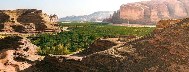 بدء فعاليات موسم العلا للفواكه الصيفيةالإهتمام بالزراعة والمزراعين وزيادة الإنتاج المحلي من الفواكه المحلية واحدا من الإهتمامات الأولى والهامة