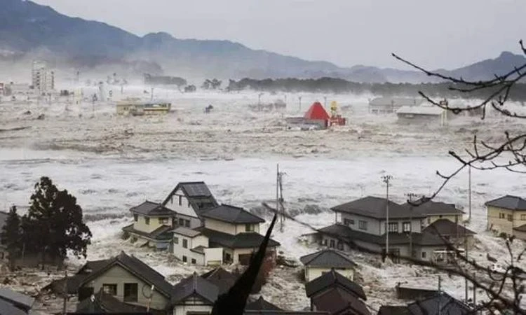 ..عالم هولندي يحذر من تسونامي بمنطقة البحر المتوسط ..تفاصيل تتابع الان تفاصيل ما ورد عن عالم هولندي يحذر من تسونامي بمنطقة البحر المتوسط ، حذر عالم