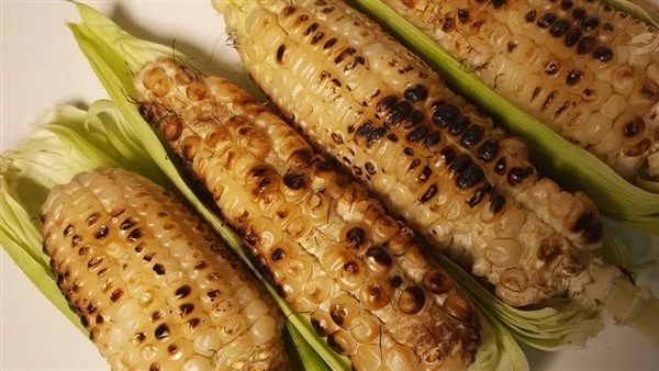 أضرار الذرة .. مضاعفات خطيرة عند الإكثار منهاتعد الذرة من الأكلات الشهية المنتشرة خلال فصل الصيف ويحبها الأطفال والكبار ولكن الإسراف فيها يعرض الجسم للمخاطر عديدة.ووفقا لما جاء في 