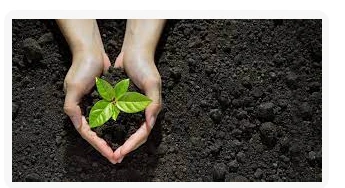 تفسير رؤية الزرع في المنام لابن سيرين رؤية الزرع في المنام تختلف في تفسيرها بناء على اختلاف طبيعة رؤيته، فقد يرى الفرد أن الزرع في المنام ينمو ويصبح ذو لون أخضر جذاب، أو قد يحلم بأ