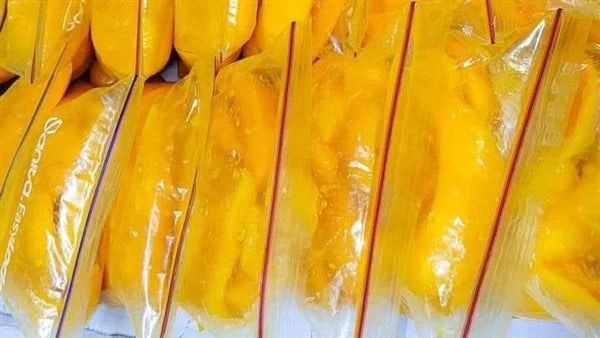 سر محلات العصير .. طرق تخزين المانجو لأطول فترة تعد المانجو من الفواكة التي يعشقها الكثير ويتناولها البعض عصيرا أو يفضل آخرون تناولها بالملعقة