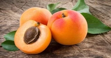 ما الأطعمة الغنية بالبيتاكاروتين وكيف تعزز صحة العين؟ صحة وطب شاهد المقال التالي من صحافة مصر عن ما الأطعمة الغنية بالبيتاكاروتين وكيف تعزز صحة