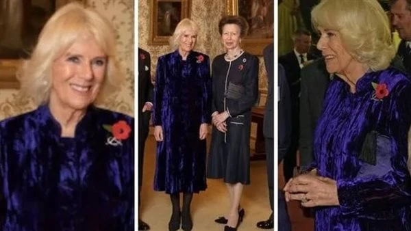 في عيد ميلادها.. رحلة كاميلا من عشيقة تشارلز لملكة بريطانيا تحتفل الملكة كاميلا شاند قرينة ملك بريطانيا تشارلز الثالث بعيد ميلادها ال 76 .. ومع عدد سنين عمرها وراءها حكايات.. فما ق