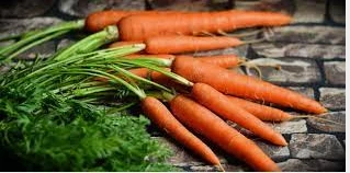 تأويلات ابن سيرين لرؤية الجزر في المنام الجزر في المنام، إن رؤية الجزر من الرؤى التي عليها خلاف كبير بين الفقهاء، والتناقض جليا بين تفسير ابن سيرين وابن شاهين والنابلسي وغيرهم من ا