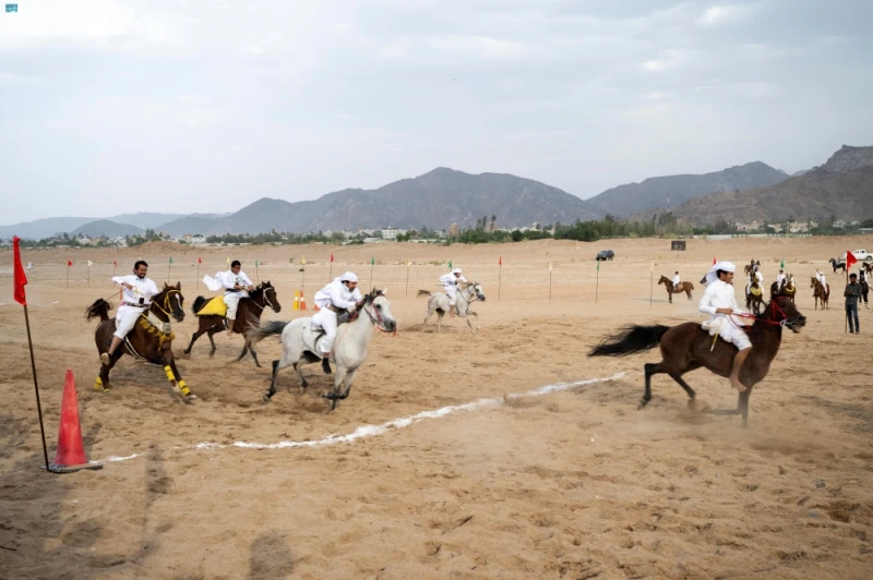 شاهد - بفنون استعراضية مميزة.. عروض الخيل تجذب محبيها في نجران الحياة شاهد المقال التالي من صحافة السعودية عن شاهد بفنون استعراضية مميزة عروض الخيل