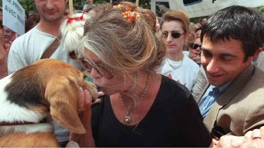 الفنانة الفرنسية بريجيت باردو تخاطب أردوغان بشأن قانون الكلاب الضالة عربي21 لايت شاهد المقال التالي من صحافة قطر عن الفنانة الفرنسية بريجيت باردو