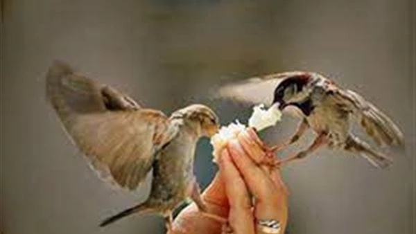 دعاء الرزق المستجاب في أول محرم.. اغتنمه ب10 كلمات حتى طلوع الفجر يعد دعاء الرزق واحد من الأدعية المستجابة والأكثر بحثا، وفي السطور التالية نرصد دعاء