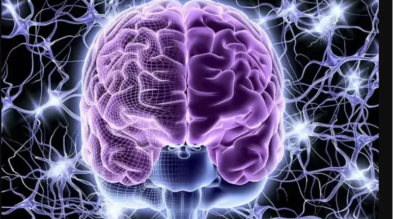 ابتكار جهاز جديد للتحكم في الدماغ عن بعد يثير المخاوف ابتكر علماء في كوريا الجنوبية جهازا غير جراحي للتحكم في الدماغ عن بعد، مما يفتح آفاقا جديدة في مجال الطب والعلاج.وأظهرت التجار