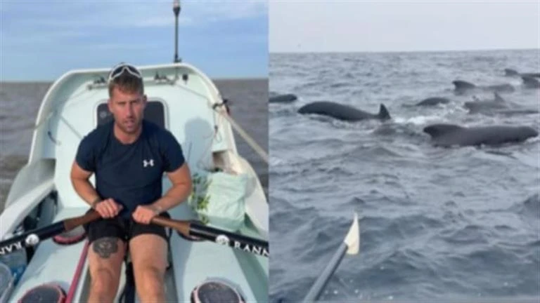 20 صورة لرجل يقاوم الموت لمدة ساعتين أثناء مواجهته 1000 حوت لايف ستايل شاهد المقال التالي من صحافة مصر عن 20 صورة لرجل يقاوم الموت لمدة ساعتين أثناء