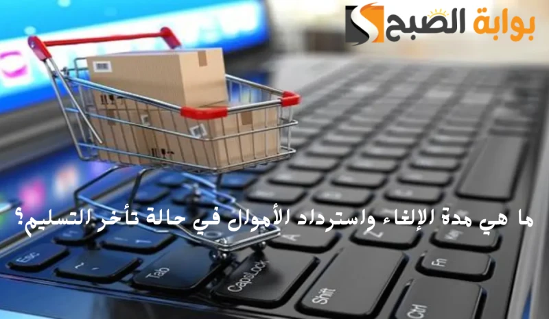 وزارة التجارة توضح مدة الإلغاء واسترداد الأموال عند تأخير تسليم المنتجاتتوفر وزارة التجارة في المملكة العربية السعودية خدمة تقديم الشكاوى