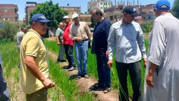 رغم ارتفاع درجات الحرارة.. الفرق الإرشادية الريفية تواصل تقديم الدعم للمزارعينواصلت الفرق الإرشادية الريفية التى شكلها مركز البحوث الزراعية بالاشتراك