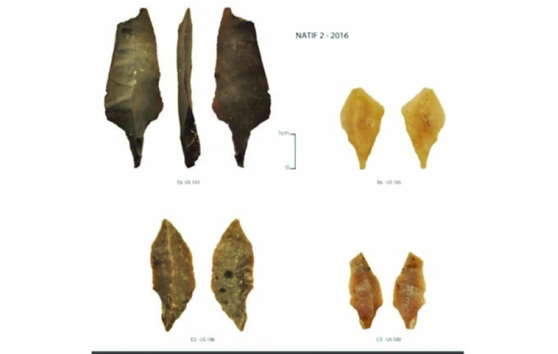 شواهد استيطان في كهف ناطف بمحافظة ظفار تعود إلى العصر الحجري القديم الثقافة والمنوعات شاهد المقال التالي من صحافة عمان عن شواهد استيطان في كهف ناطف