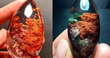 5 أحجار كريمة مميزة بأشكالها الجميلة وفوائدها المميزة.. منها عقيق الطحالب المرأة والمنوعات شاهد المقال التالي من صحافة مصر عن 5 أحجار كريمة مميزة