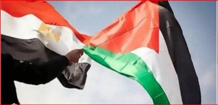 فن: دعم مصري للقضية الفلسطينية في حفلات مهرجان العلمين 2024 اقرأ في أفاق عربية دعم مصري للقضية الفلسطينية في حفلات مهرجان العلمين 2024، دعم مصر