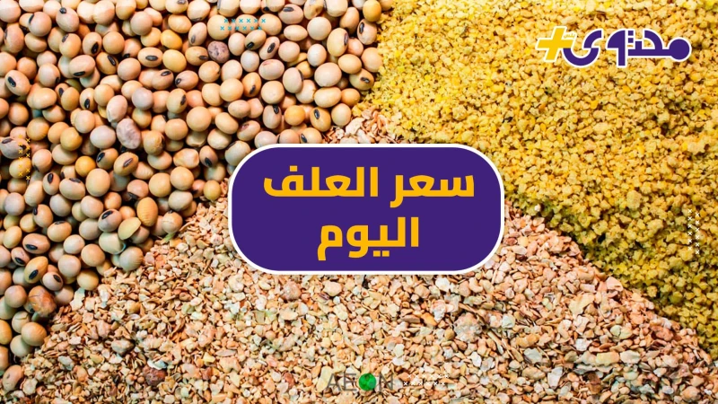 سعر العلف اليوم الأربعاء 10 يوليو.. تراجع طن البادي النامي سعر علف الإيمان.. تراجع سعر العلف اليوم الأربعاء الموافق 10 يوليو 2024 خلال التعاملات اليومية في الأسواق المحلية، بينما ا