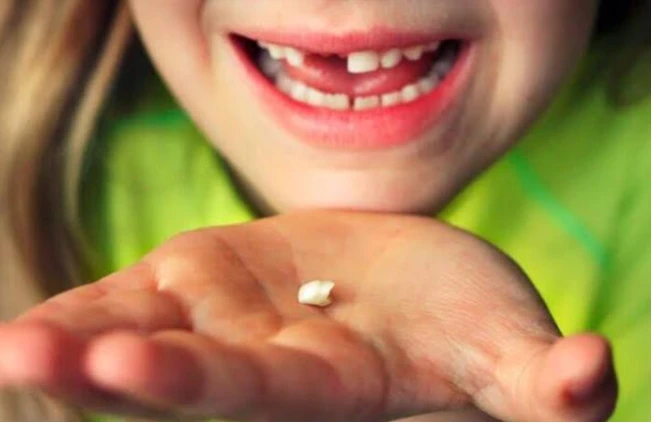 تعرف على تفسير حلم تساقط الأسنان لابن سيرين وتفسير حلم تساقط الاسنان بدون دم كل من يرى تساقط الأسنان أثناء نومه ينتابه حالة من الخوف والقلق خوفا من