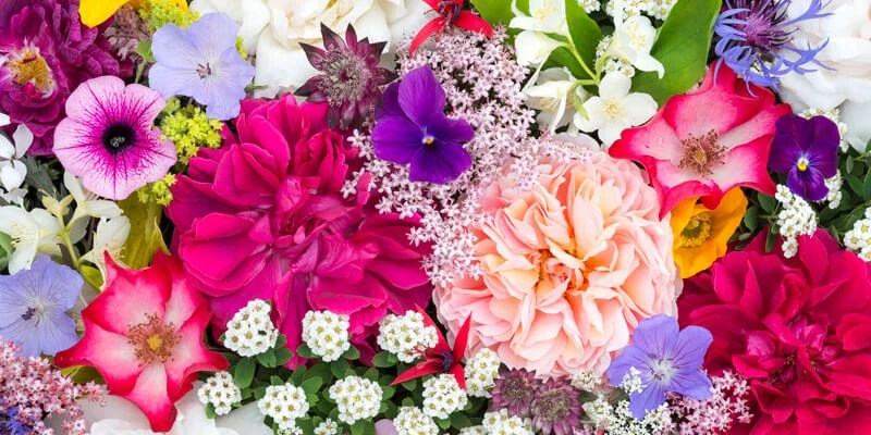 30 أجمل أنواع الورود في العالم مع الأسماء والصور ومعانيهامن خلال مقالنا سوف نقوم بعرض كل ما تريد معرفته عن فوائد الورد للبشرة، وسوف نقوم بتقديم فوائد الزهور جسديا و نفسيا، وسوف نقو