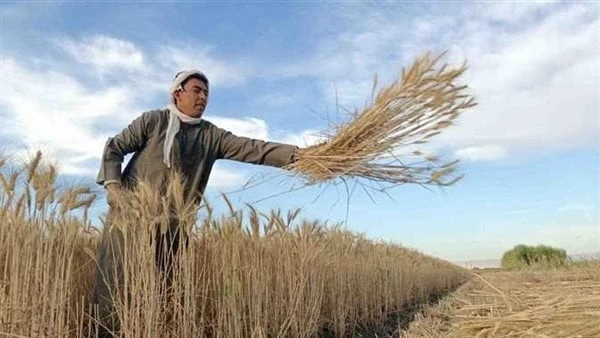 23 يوليو.. الإصلاح الزراعي انحاز للفلاح وأنقذه من الإقطاعلم تكن ثورة 23 يوليو 1952، ثورة إصلاح سياسي فقط، بل امتدت للإصلاح الاجتماعي أيضا، وانحازت