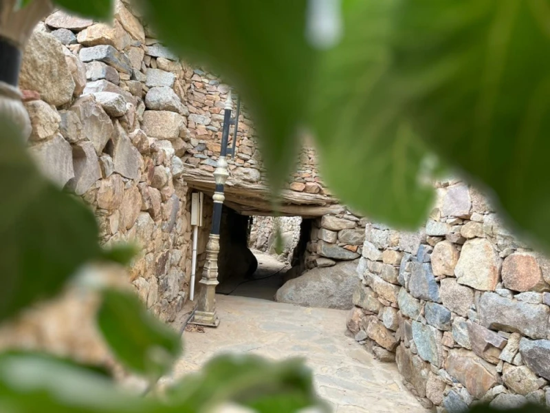 شاهد- العبادل.. قرية تراثية تحتضن عبق الماضي وتستقطب السياح الحياة شاهد المقال التالي من صحافة السعودية عن شاهد العبادل قرية تراثية تحتضن عبق الماضي