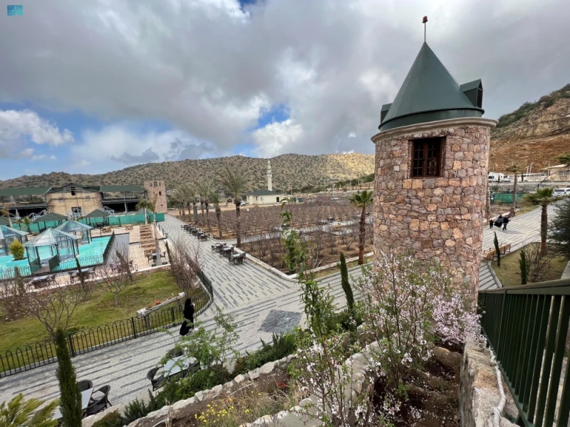 هيئة التراث تطلق فعاليات تراثية لتعزيز الهوية الثقافية في الطائف تعرف على التالي هيئة التراث تطلق فعاليات تراثية لتعزيز الهوية الثقافية في الطائف،