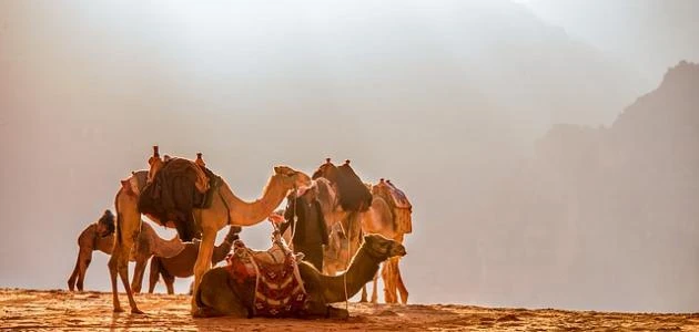 أجمل ما قالت العرب.. اجمل ما قاله العرب من الحكم؟لقد عرب العرب بشهامتهم وبالمروءة والكرم، ويوجد العديد من المقولات والعبارات المختلفة التي تعبر عن