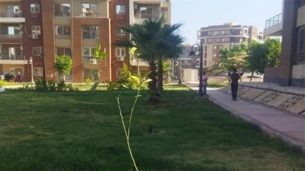 بدء زراعة 3500 شجره مثمرة بعدة أحياء ومناطق بمدينة الشروق أعلن المهندس محمد السيد عبدالمقصود، رئيس جهاز مدينة الشروق، البدء في تدعيم الحدائق والجزر