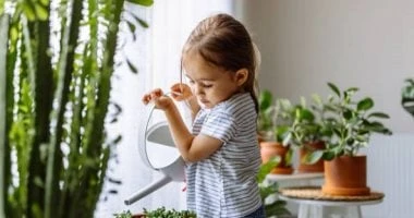 لمسات عطرة تضفى جمالا على منزلك.. 6 طرق للعناية بالفل والياسمين المرأة والمنوعات شاهد المقال التالي من صحافة مصر عن لمسات عطرة تضفى جمالا على منزلك 6