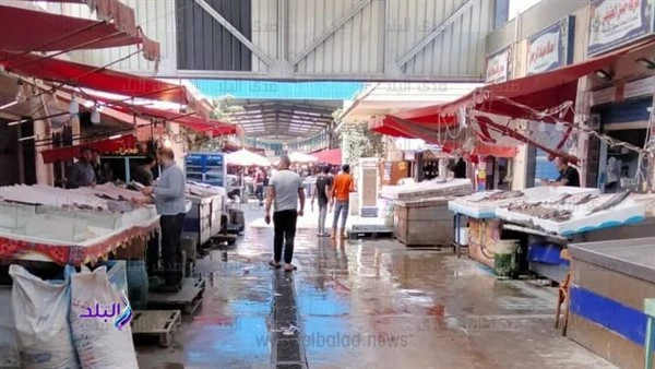 أسعار الأسماك والمأكولات البحرية اليوم الخميس 25 يوليو يقدم موقع افاق عربية متوسط أسعار الأسماك والمأكولات البحرية اليوم، الخميس 25 يوليو 2024، ضمن