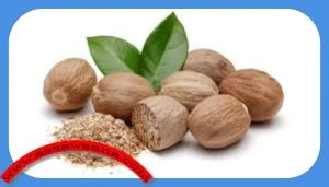 فوائد وأضرار جوزة الطيب صحة وجمال شاهد المقال التالي من صحافة الأردن عن فوائد وأضرار جوزة الطيب، السوسنة تعد جوزة الطيب بالإنجليزية من التوابل التي