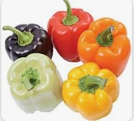 تعرف على تفسير الفلفل في المنام لابن سيرين الفلفل في المنام، الفلفل هو نوع من الخضراوات التي تتمتع بالعديد من الفوائد وله الكثير من الأنواع، فمنه