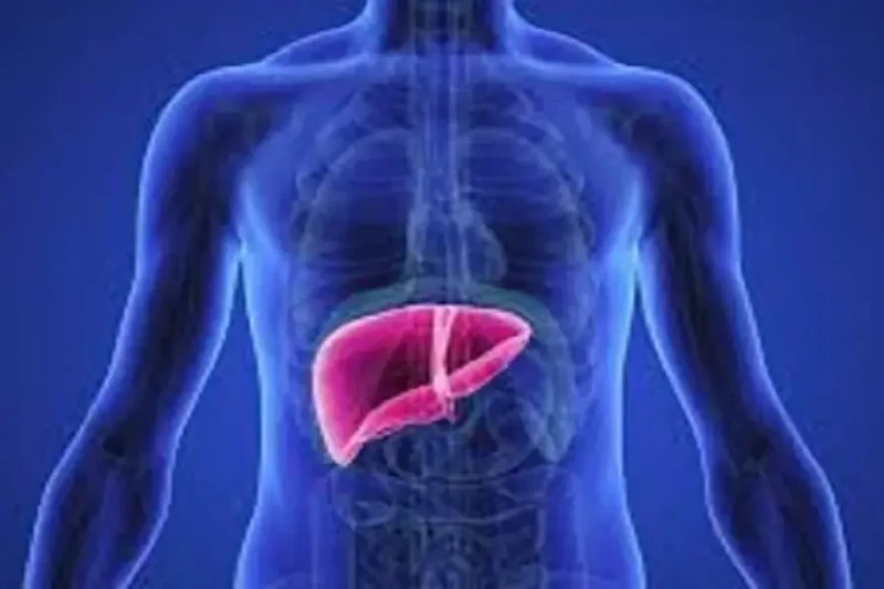 محمد عبدالوهاب يكشف أهم محاور المؤتمر الدولي لجراحة الكبد بالمنصورةتم الكشف عن تفاصيل موافقة الجمعية العمومية على استضافة مصر لمؤتمر الكونجرس العالمي