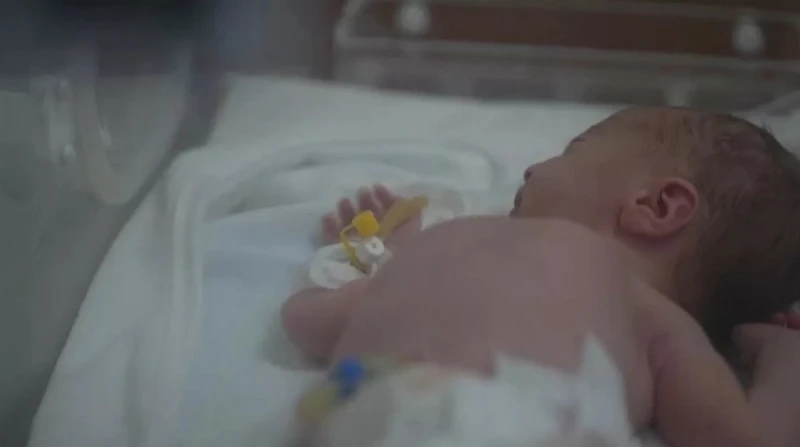 نزحت به 3 مرات.. شهيدة في غزة تلد بعد وفاتها (خاص) بفرحة عارمة وحماس يعتريها، استعدت الدكتورة علا عدنان الكرد البالغة من العمر 23 عام، لحفل زفافها بعد أن انتهت من دراسة طب العلاج ا