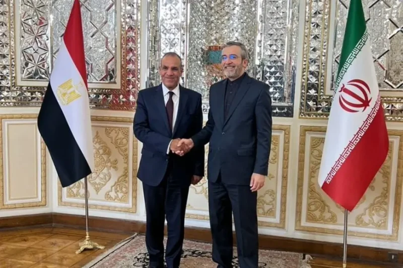 وزير الخارجية يشارك في مراسم تنصيب الرئيس الإيراني الجديدشارك بدر عبدالعاطي، وزير الخارجية والهجرة، يوم ٣٠ يوليو في تنصيب الرئيس الجديد لإيران، مسعود