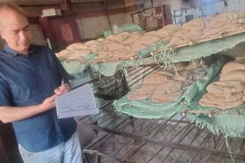 تحرير 120 محضر ضد أصحاب المخابز ومحال التجارية في حملات رقابية بالشرقية كثفت الأجهزة الرقابية بالشرقية،بالتنسيق مع مباحث التموين،وجهاز حماية