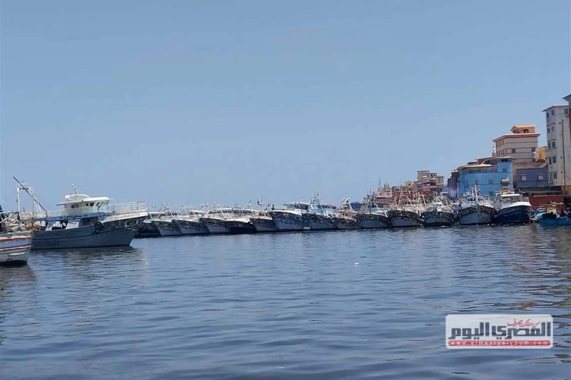 صناعة الثلج ب دمياط.. أزمة رحلات الصيد تدخل يومها ال20 وأهالي عزبة البرج: خسائر يوميا وقلة إنتاج الثلج وقف حالنا 20 يوما مضت ومازالت أزمات صناعة الثلج بدمياط تعصف برحلات الصيد، توق