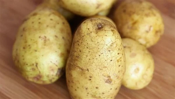 وصول سعر البطاطس ل 35 جنيها للكيلو .. اعرف قيمتها هتنخفض امتى؟أكد حاتم النجيب نائب رئيس شعبة الخضروات والفاكهة بغرفة القاهرة التجارية أن أسعار