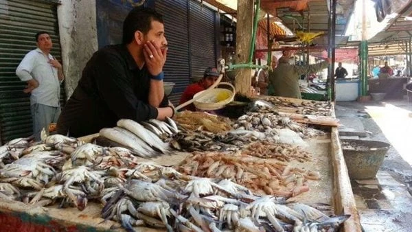 بسبب تراجع الدواجن.. مفاجأة في أسعار الأسماك اليوم حافظت أسعار الأسماك اليوم الأحد 7-7-2024 ، على استقرارها، حيث ساهم تراجع أسعار الدواجن في استمرار